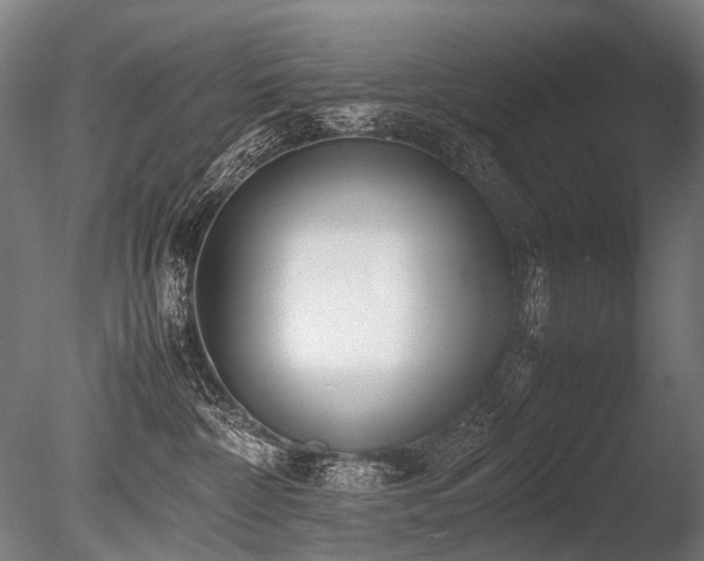 X0000086040332200703231247
