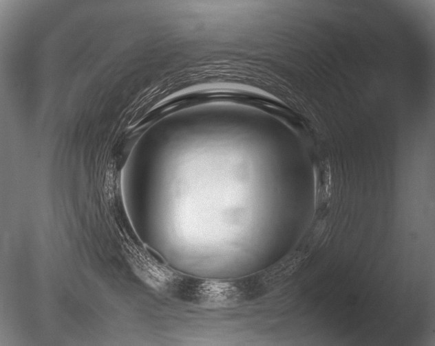 X0000086040333200703231247