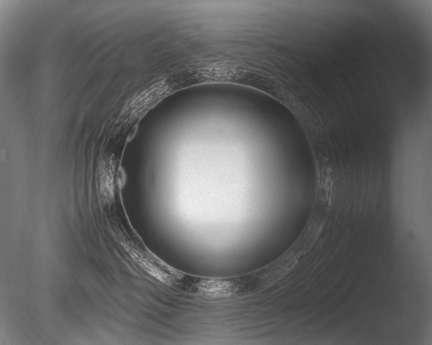 X0000086040334200703231247