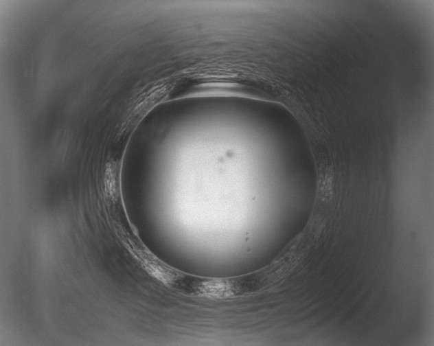 X0000086040335200703231247
