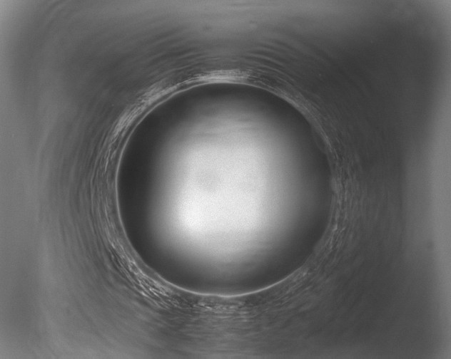X0000086040337200703231246