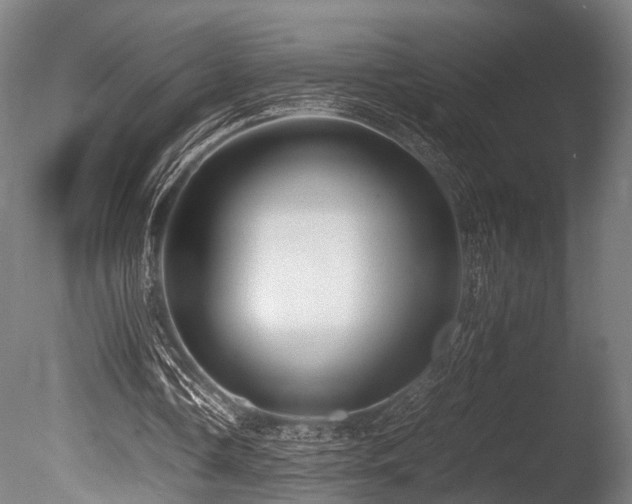 X0000086040338200703231246