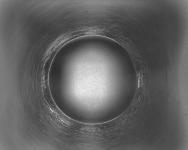X0000086040339200703231246