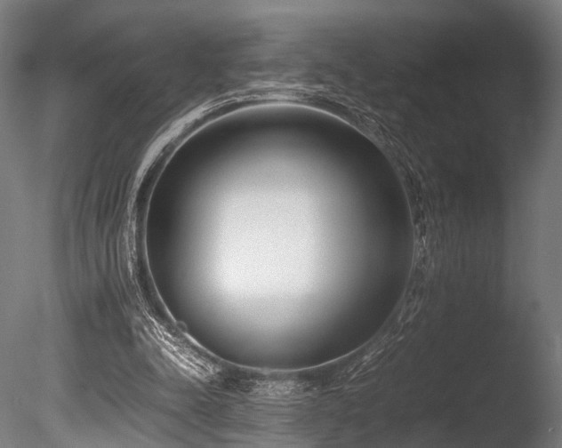 X0000086040342200703231246