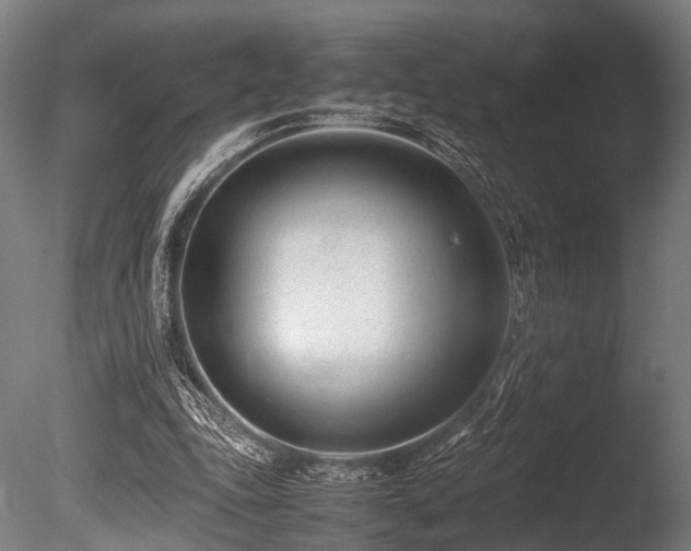 X0000086040343200703231246