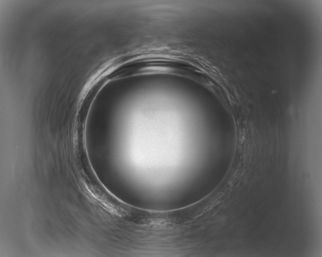X0000086040344200703231246
