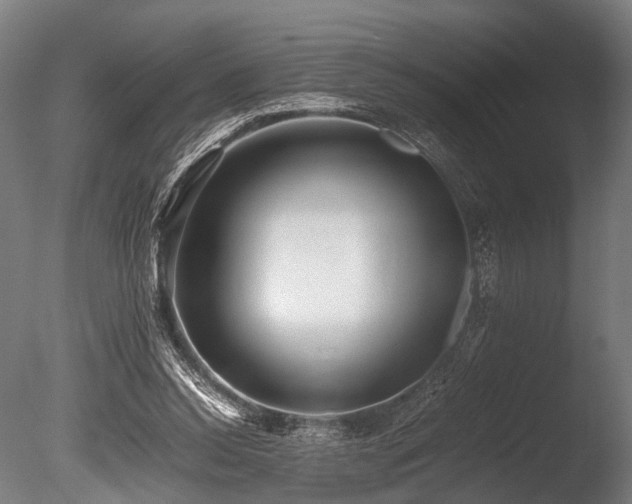 X0000086040350200703231246