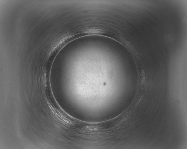 X0000086040351200703231246