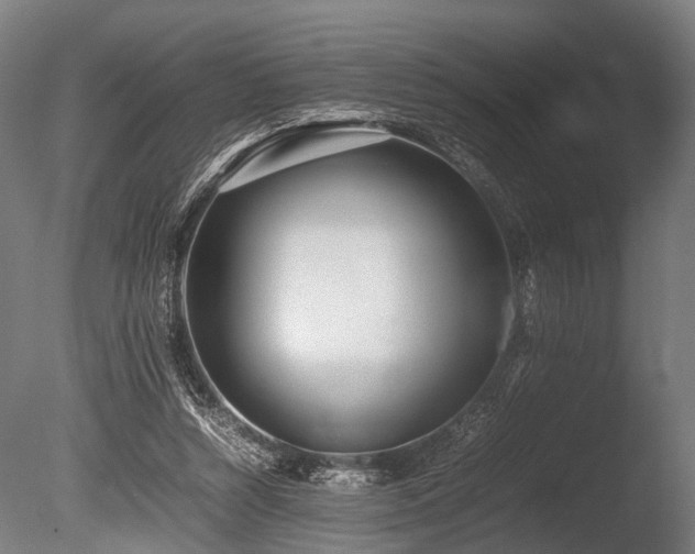 X0000086040352200703231246