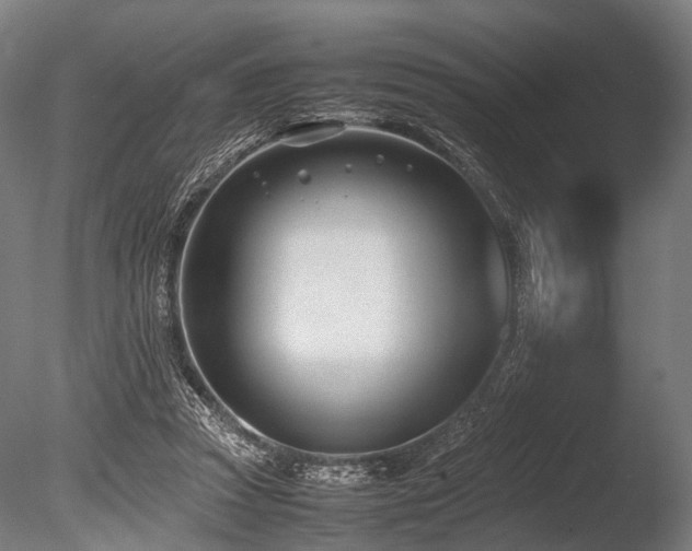 X0000086040353200703231246