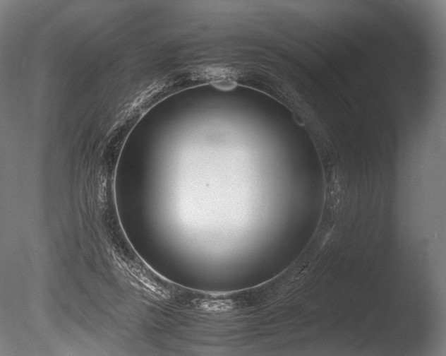 X0000086040355200703231246