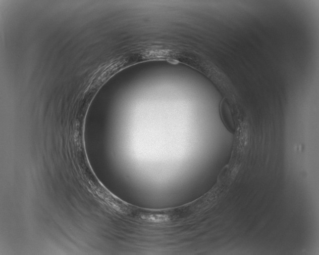 X0000086040361200703231247
