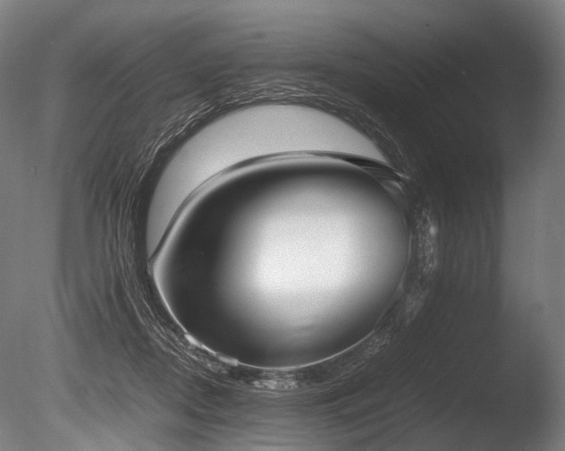 X0000086040362200703231247
