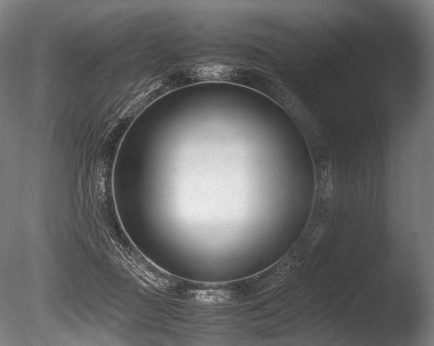 X0000086040363200703231247