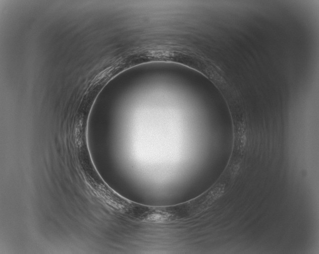 X0000086040364200703231247