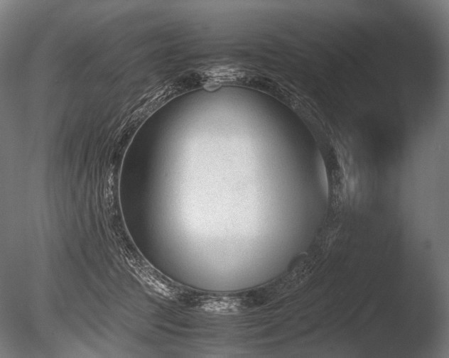 X0000086040369200703231247