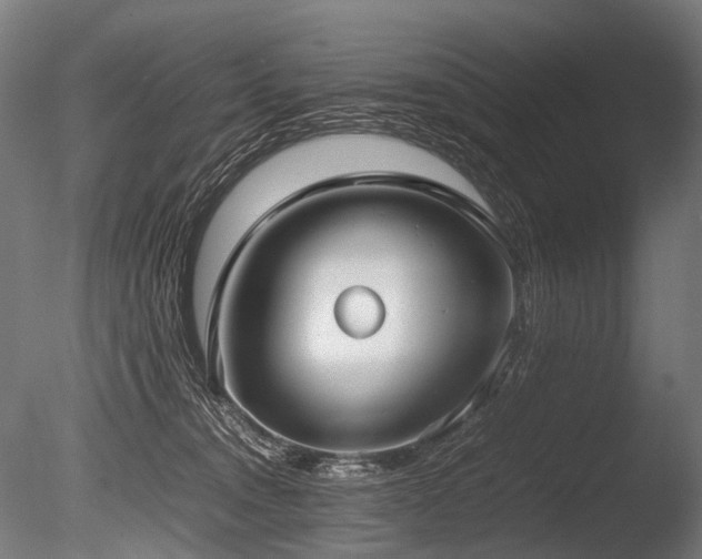 X0000086040372200703231247