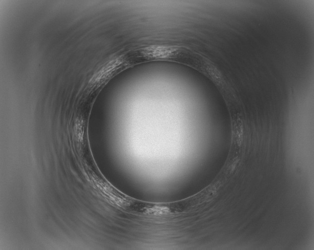 X0000086040374200703231247