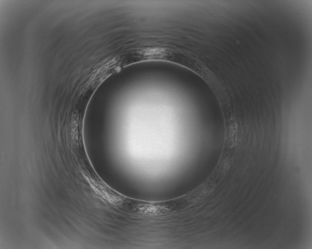 X0000086040379200703231247