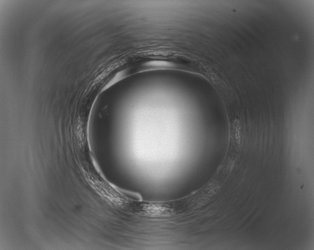 X0000086040380200703231247