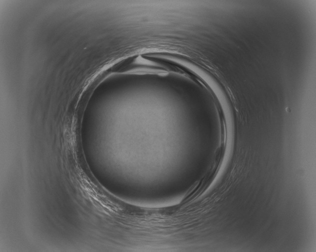 X0000086040387200703231246