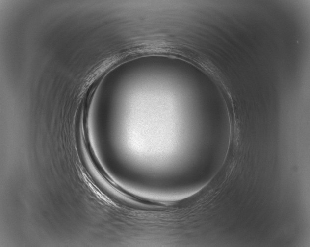 X0000086040389200703231246