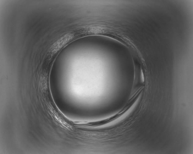 X0000086040393200703231246