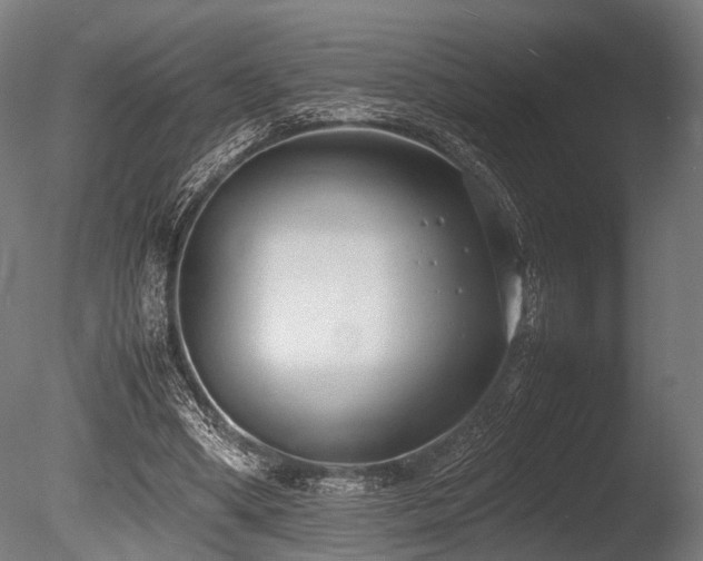 X0000086040394200703231246
