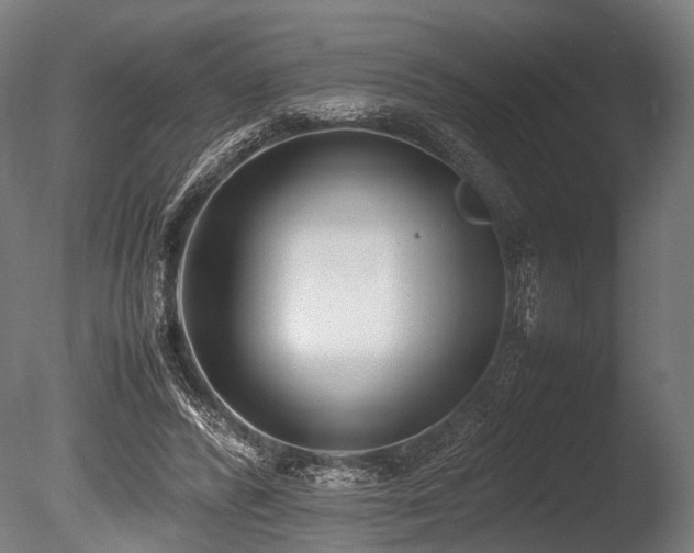 X0000086040400200703231246