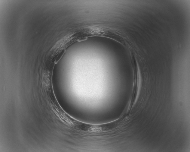X0000086040413200703231246
