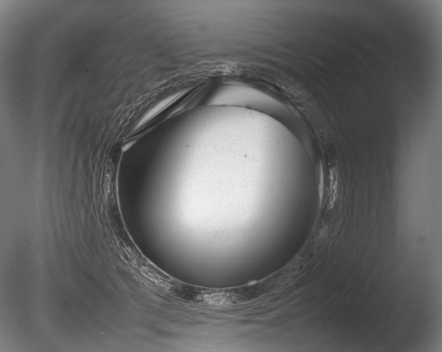X0000086040417200703231246