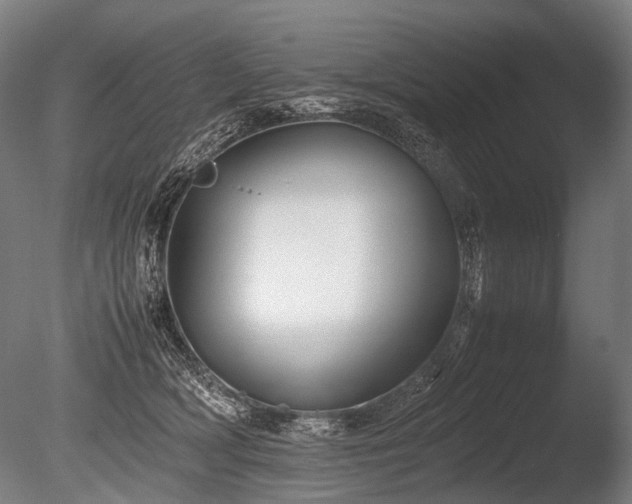X0000086040418200703231246