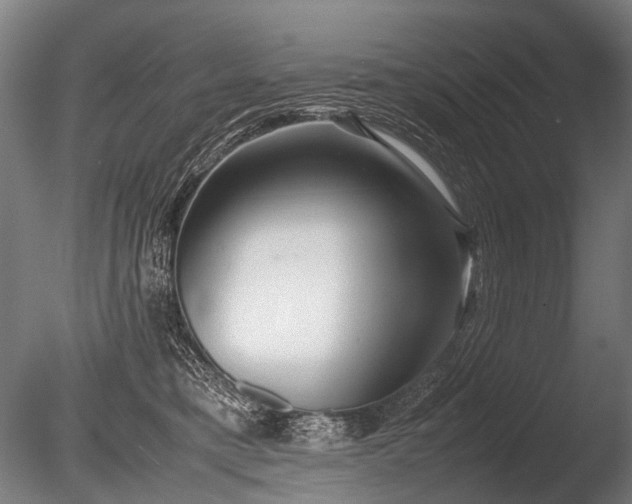 X0000086040421200703231245