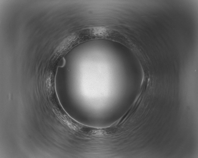 X0000086040424200703231245
