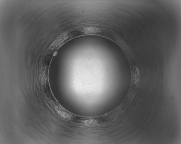 X0000086040426200703231245