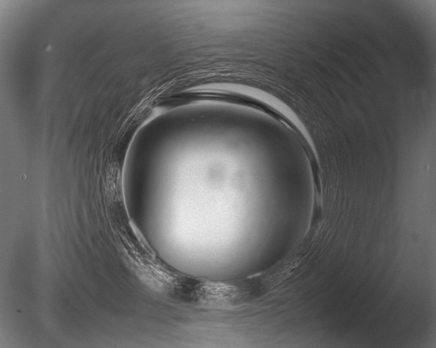 X0000086040429200703231245