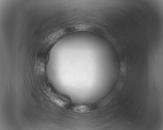 X0000086040431200703231245