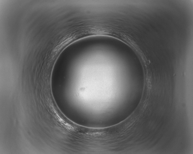 X0000086040433200703231244