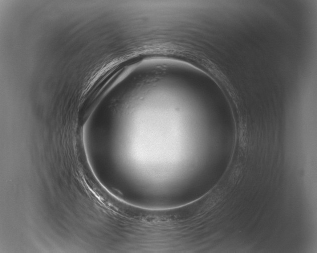 X0000086040434200703231244