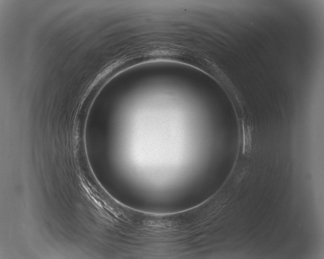 X0000086040435200703231244