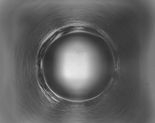X0000086040436200703231244