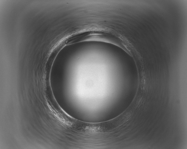 X0000086040440200703231245
