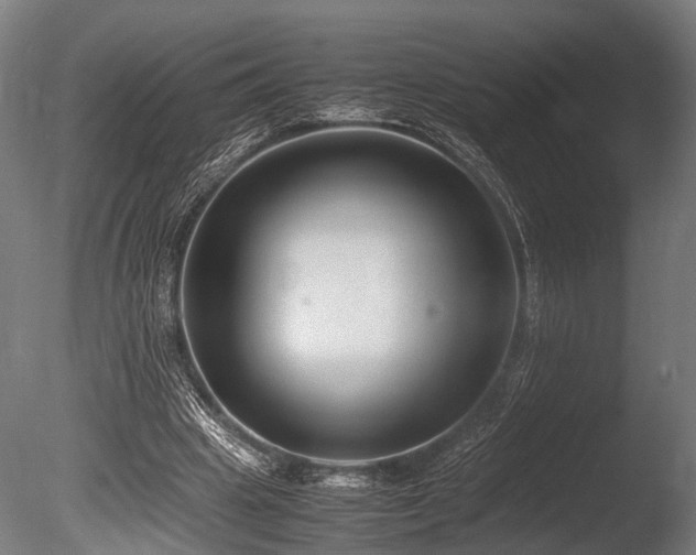 X0000086040441200703231245
