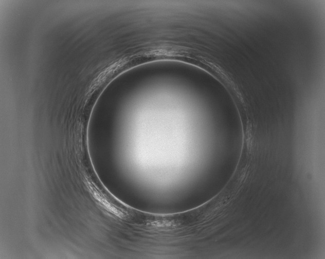 X0000086040445200703231245