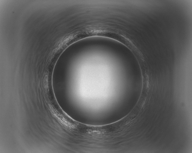X0000086040447200703231245