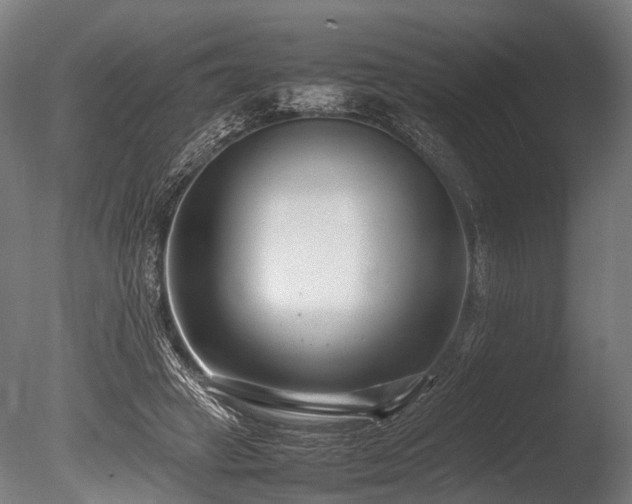 X0000086040449200703231245