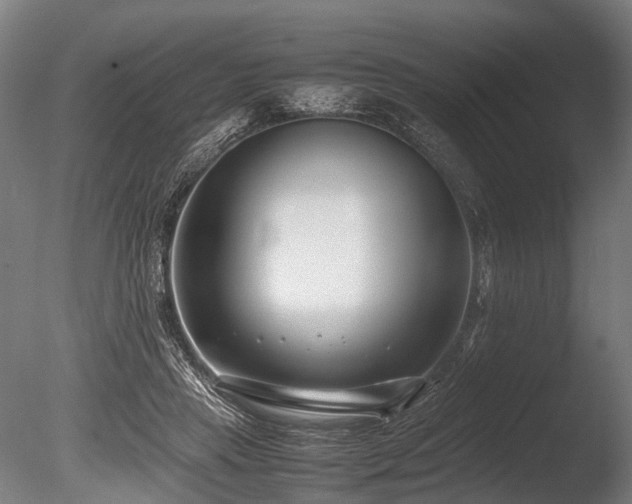 X0000086040453200703231245