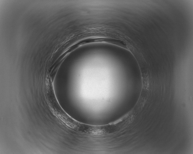 X0000086040456200703231245