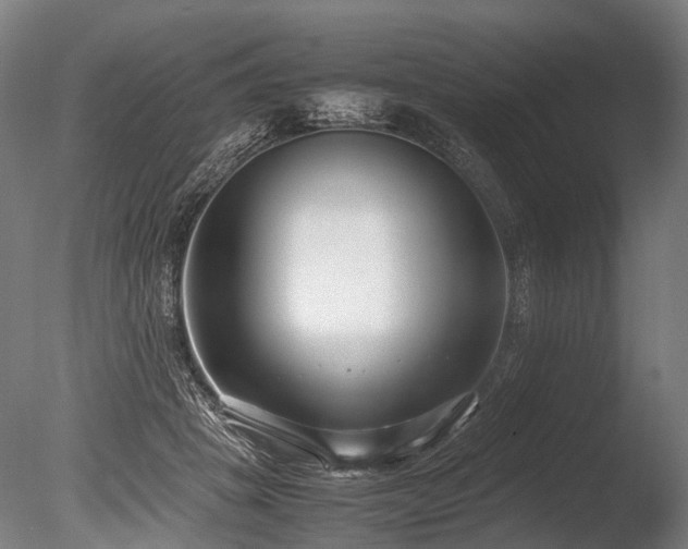 X0000086040457200703231245