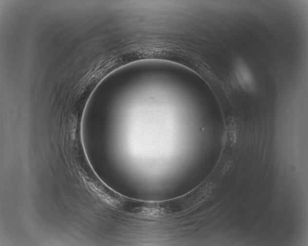 X0000086040458200703231245